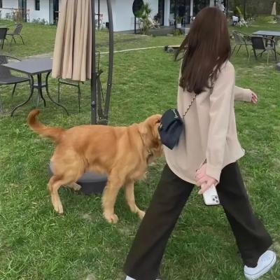 糟糕历史第一季