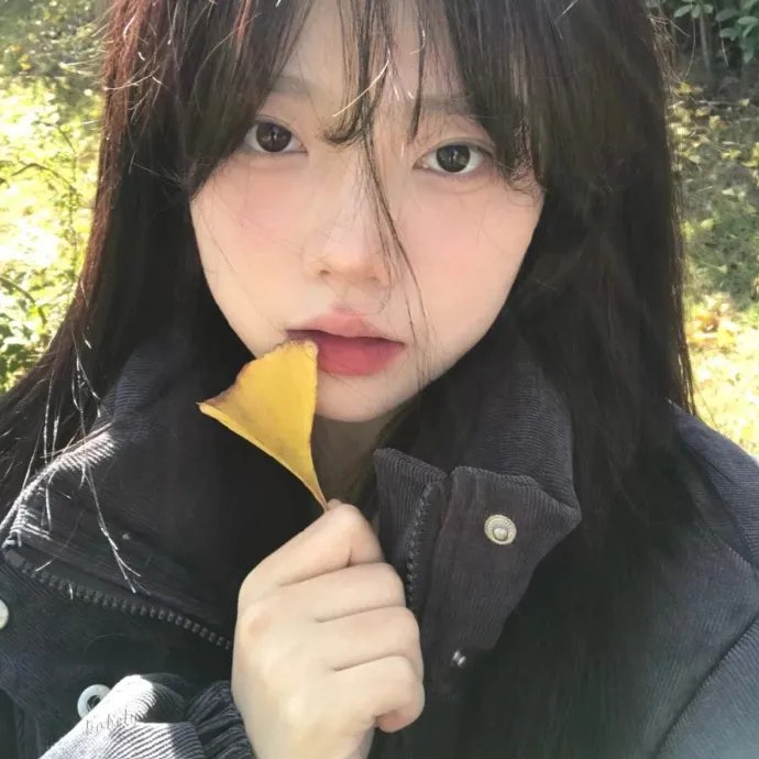 有趣的小兔子