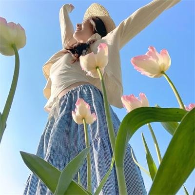 野探哈莉第四季